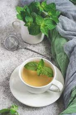 Fresh Mint Tea