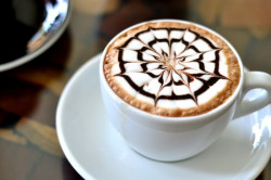 Hot Mocha (Dark/White)
