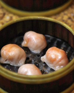 Crystal Shrimp Dumpling